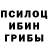 Псилоцибиновые грибы прущие грибы Alex _kind