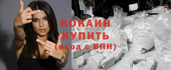 стафф Дубовка