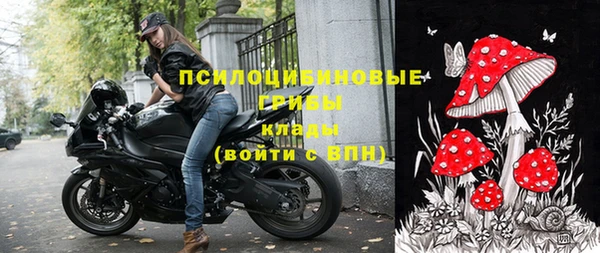 не бодяженный Магас