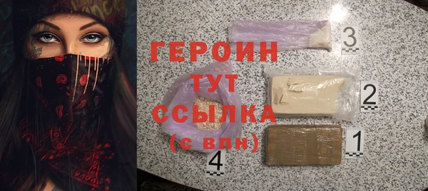 шишки Дубна