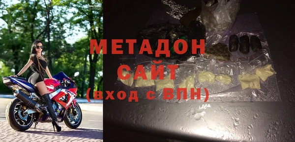 шишки Дубна