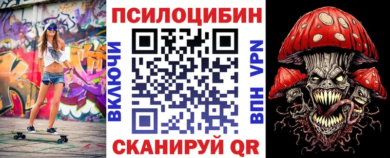 дарнет шоп  Луховицы  Псилоцибиновые грибы Cubensis 