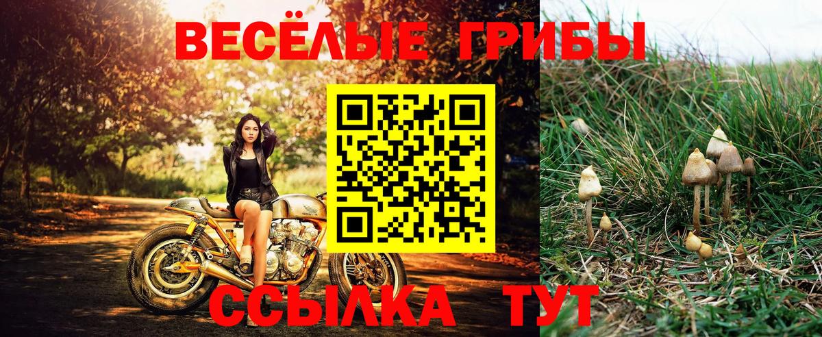 Луховицы  ТГК  ГАШИШ  А ПВП СОЛЬ   Экстази  Где продают наркотики?  Марихуана  Вход с VPN  ГАШ  МЕФ кристаллы 