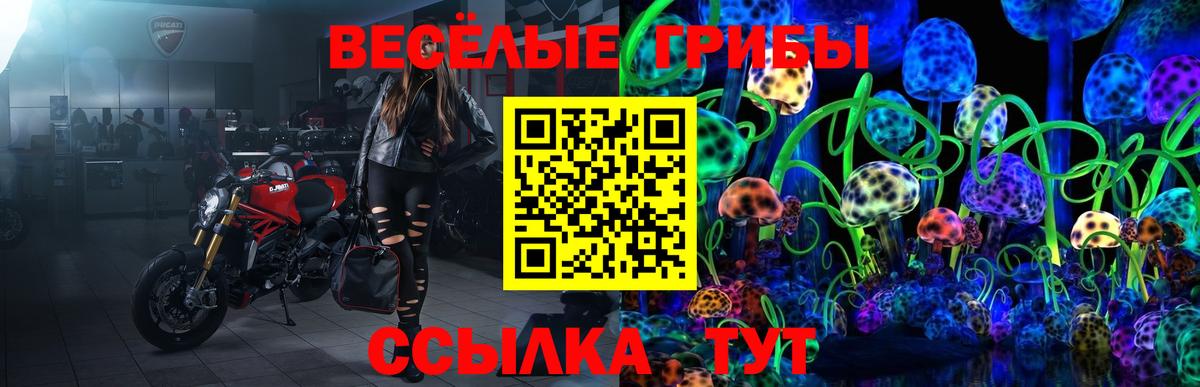 Псилоцибиновые грибы мицелий  Галлюциногенные грибы Magic Shrooms  Луховицы 